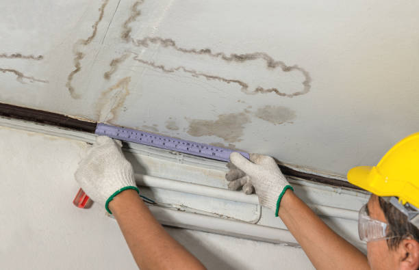 Reliable Water Damage contractor in Center Harbor, NH by Water Damage Irwin